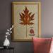 Winston Porter Autumn Leaf I Premium Framed Canvas- Ready To Hang Canvas, Solid Wood in Brown/Green/White | 20 H x 16 W x 2.5 D in | Wayfair