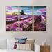 One Allium Way® Morning Sun Over The Lavender Field - Country Framed Canvas Wall Art Set Of 3 Canvas, Wood in White | 20 H x 36 W x 1 D in | Wayfair