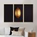 Bay Isle Home™ Gold Painted Tropical Fruits on I - 3 Piece Floater Frame Print on Canvas Metal in Black | 32 H x 48 W x 1 D in | Wayfair