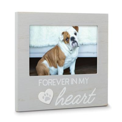 Curata Grey Wooden Forever in My Heart Pet Memorial Remembrance 4x6 Photo Frame