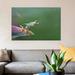 East Urban Home 'Red-Eyed Tree Frog Eyeing Bee Fly, Costa Rica, Digital Composite' Photographic Print on Canvas Canvas, in Green | Wayfair