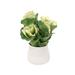 Primrue 12" Artificial Foliage Plant in Decorative Vase Ceramic/Polysilk | 12 H x 9 W x 9 D in | Wayfair D895D23810264399B908E3B97674A07B