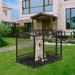 Tucker Murphy Pet™ Calum-James Dog Crates For Pet Dogs Folding Wire Crates Dog Outdoor & Indoor Pet Dog Cage in Black | Wayfair