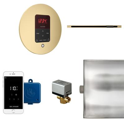 Mr Steam BTLRL1R Butler Linear Steam Generator Control Kit / Package