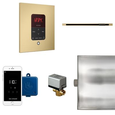 Mr Steam BTLRL1S Butler Linear Steam Generator Control Kit / Package