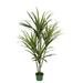 Faux 4ft Dracaena Tree with 4 Heads