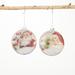 The Holiday Aisle® 2 Piece Santa Holiday Shaped Ornament Set Glass in Green/Red | 5 H x 5 W x 1.5 D in | Wayfair FF3043C660EB4A1BAB4D93359213D85C