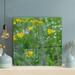 Latitude Run® Yellow Flowers On Black Metal Fence - 1 Piece Rectangle Graphic Art Print On Wrapped Canvas in Green | 16 H x 16 W x 2 D in | Wayfair