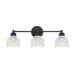 Meridian Lighting 24 Inch 3 Light LED Bath Vanity Light - M80035MBK