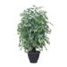 Vickerman 688632 - 4' Ming Aralia Extra Full in Gray Pot (TXX0640-RG) Home Office Bushes