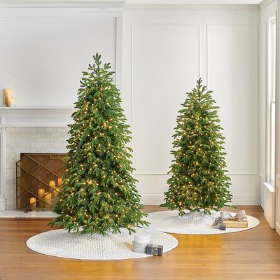Rocky Mountain Noble Pine Slim Profile Tree - 6.5ft - Frontgate - Christmas Tree