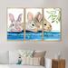 Gracie Oaks Three Fluffy Rabbits Behind a Wooden Fence - 3 Piece Floater Frame Print on Canvas Metal in Blue | 32 H x 48 W x 1 D in | Wayfair