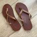 American Eagle Outfitters Shoes | American Eagle Leather Flip Flops | Color: Tan | Size: 7
