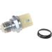 1997-2000 Dodge Dakota Back Up Light Switch - API