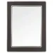 Varaluz Macie Rectangular Wood and Metal Mirror - 4DMI0119