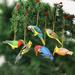 The Holiday Aisle® Festive Birds, Wood Ornaments Set Of 6 Wood in Brown | 1.4 H x 4.3 W x 0.1 D in | Wayfair 9AEEA58B6B884E4CB48AACFA80263DE9