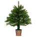 The Holiday Aisle® Artificial Pre-lit Christmas Tree Holiday Decoration Xmas Tree Green, Steel in Green/White | 39.4 W x 21.7 D in | Wayfair