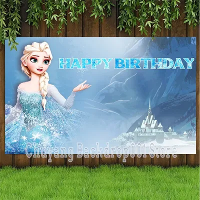 Décors de princesse Disney Frozen Anna et Elsa pour photo personnalisée décorations de fête