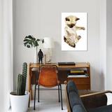 East Urban Home Siamese Kitten by Wandering Laur - Gallery-Wrapped Canvas Giclee Print Canvas, in Black/Brown/White | Wayfair