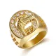 Bague en Zircon brillant pour hommes anneau de couleur or avec cheval ajouré Rock bijoux cadeau