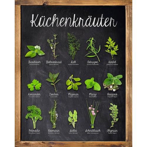 "Deco-Panel HOME AFFAIRE ""Küchenkräuter"" Bilder grün 4050 cm"