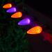 The Holiday Aisle® Opticore Halloween 50 Light String Lighting in Orange/Indigo | 3.5 H x 600 W x 1 D in | Wayfair 70DC23E37D7E45A983669EC47E971E1F