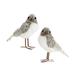 The Holiday Aisle® Foam 12 Piece Bird Set | 5 H x 5 W x 2 D in | Wayfair C44B9D9C34814E4ABD11C41EEAE7AEE0