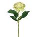 Primrue Artificial Peony Rose Stem in Green | 13 H x 8 W x 8 D in | Wayfair 43219D61169C4F1095A99351FB581A88