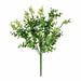 Primrue Artificial 14.5" Money Leaf Bush Plastic | 14.5 H x 8 W x 8 D in | Wayfair F9972C0F8DA9437A8F61973CEB0A5AC6