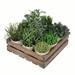 Primrue 9 - Piece Artificial Garden Grass Plant in Pot Set Plastic | 8 H x 12 W x 12 D in | Wayfair 82BF81C9B84E4DB8BE35DADABB4C46CC