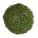 Primrue 2 - Piece Artificial Onion Grass Hedge Set | 7 H x 7 W x 7 D in | Wayfair F2A7A17C48DC447DACE8664B76C7E604