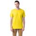 Hanes 5280 Adult Essential Short Sleeve T-Shirt in Yellow size 4XL | Cotton