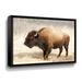 Foundry Select American Bison III Gallery Wrapped Floater-Framed Canvas in Brown/Gray | 18 H x 24 W x 2 D in | Wayfair