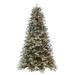 Vickerman 692592 - 7.5' x 44" Artificial Frosted Douglas Fir 1200 Warm White LED Lights Christmas Tree (K224578LED)