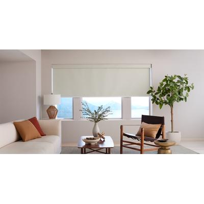 Motorized Blackout Roller Shades | 36" x 60"