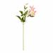 Primrue Artificial 28" Clematis Stem Polyester | 10 H x 5 W x 28 D in | Wayfair 33A27639A2BF436883A366F5039F93CA