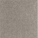 Gray 72 x 72 x 0.5 in Area Rug - Ebern Designs Square Yiddy Solid Color Power Loomed Indoor/Outdoor Use Area Rug in | Wayfair