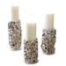Kalalou 3 Piece Oyster Shell Tabletop Candlestick Set w/ Candle Included in Gray/White | 15 H x 8.5 W x 21 D in | Wayfair PGT1014