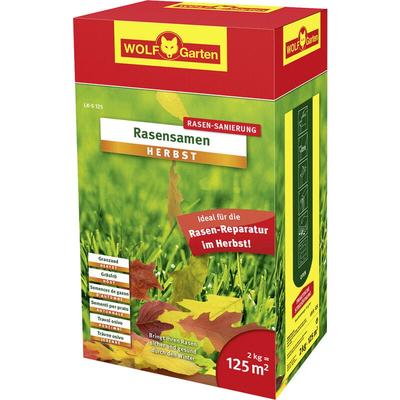 3835050 Rasensamen Herbst lk-s 125 1 St. - Wolf-garten