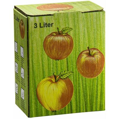 Bag in Box Karton 3 l Liter Apfelsaft Schachtel Saftkarton Faltkarton Pappkarton Image