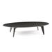 Robert Allen Pirwi 4 Legs Coffee Table Wood in Black | 20.87 H x 67.72 W x 29.13 D in | Wayfair FUR-PF-BOT004NE