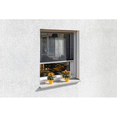 SCHELLENBERG Insektenschutz-Fensterrahmen "für Fenster" Insektenschutzgitter Gr. B/H: 140 cm x 150 cm, weiß (rahmen: gewebe: anthrazit) Fliegengitter