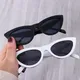Lunettes de soleil triangle œil de chat sexy pour femmes lunettes rétro pour femmes lunettes de