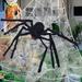 The Holiday Aisle® Hairy Black Spider Metal | 0.4 H x 19.7 W x 8.5 D in | Wayfair 9DACE796C5ED4423A241B24B97B272BF