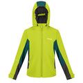 Regatta Unisex Acidity V, Bright Kiwi/Pacific Green/Black, 7 Years