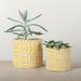 Winston Porter Ferny 2 - Piece Cement Pot Planter Set | 5.25 H x 5.5 W x 5.5 D in | Wayfair 35F97660DD6D46C5A6263A67DEE486F1