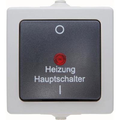 Nautic – Heizungshauptschalter, Farbe: grau - 565356002 - Kopp