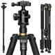 NIANYISO 77” DSLR Camera Tripod for Travel - Compact Tripod for Camera, Professional Tripod with 36mm 360 Degree Ball Head, Lightweight Aluminum Camera Tripods & Monopods Load up to 33 lbs Black