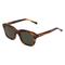 Fielmann FRANK SUN Herren-Sonnenbrille Vollrand Eckig Acetat-Gestell, Havanna