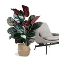 Branches de Ficus Artificielles en Plastique Plantes de Banyan Faux Cuir oral elu Monstera pour la